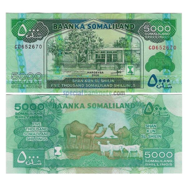 Somaliland 5000 Shillings Banknote, 2016, P-21d, UNC