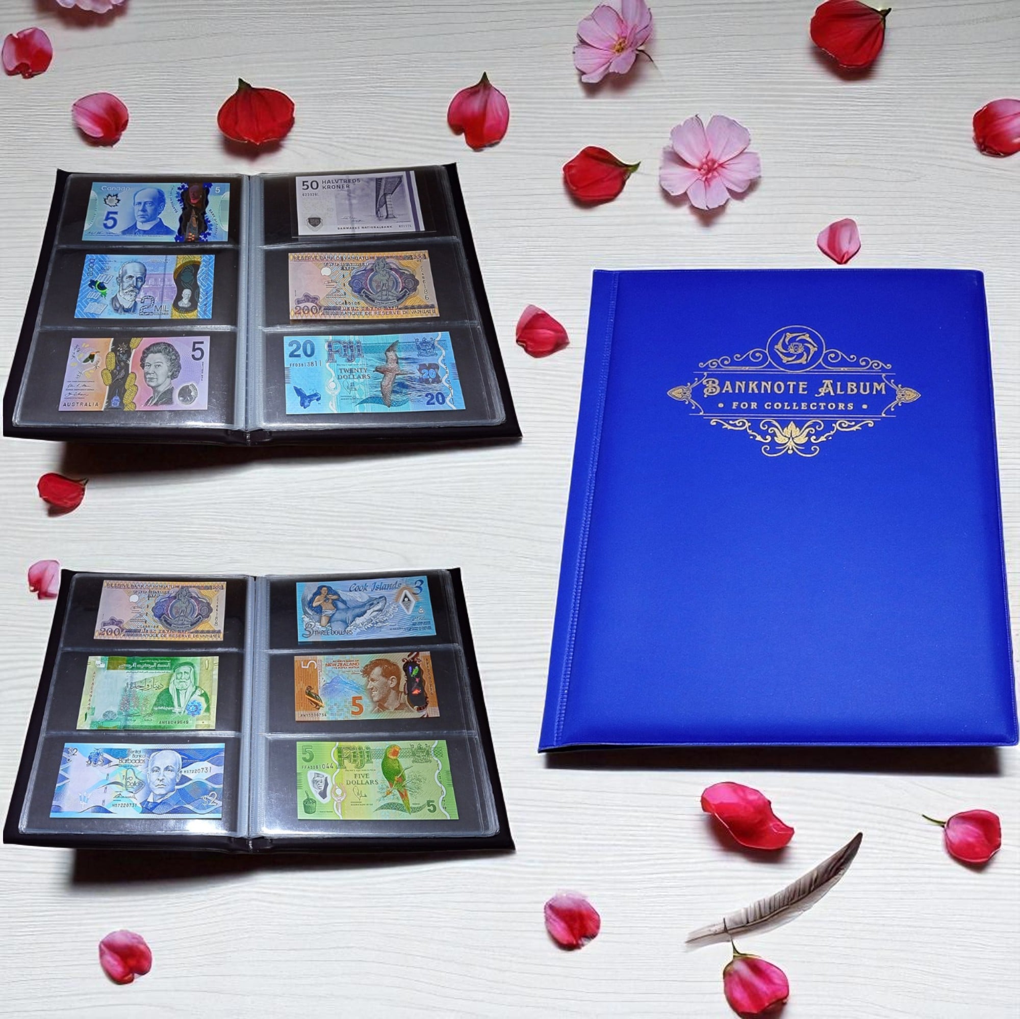 Special Minds Store® Banknote Album Book with 60 Pockets Banknote World Currency Collecting Storage Premium Album (Blue)