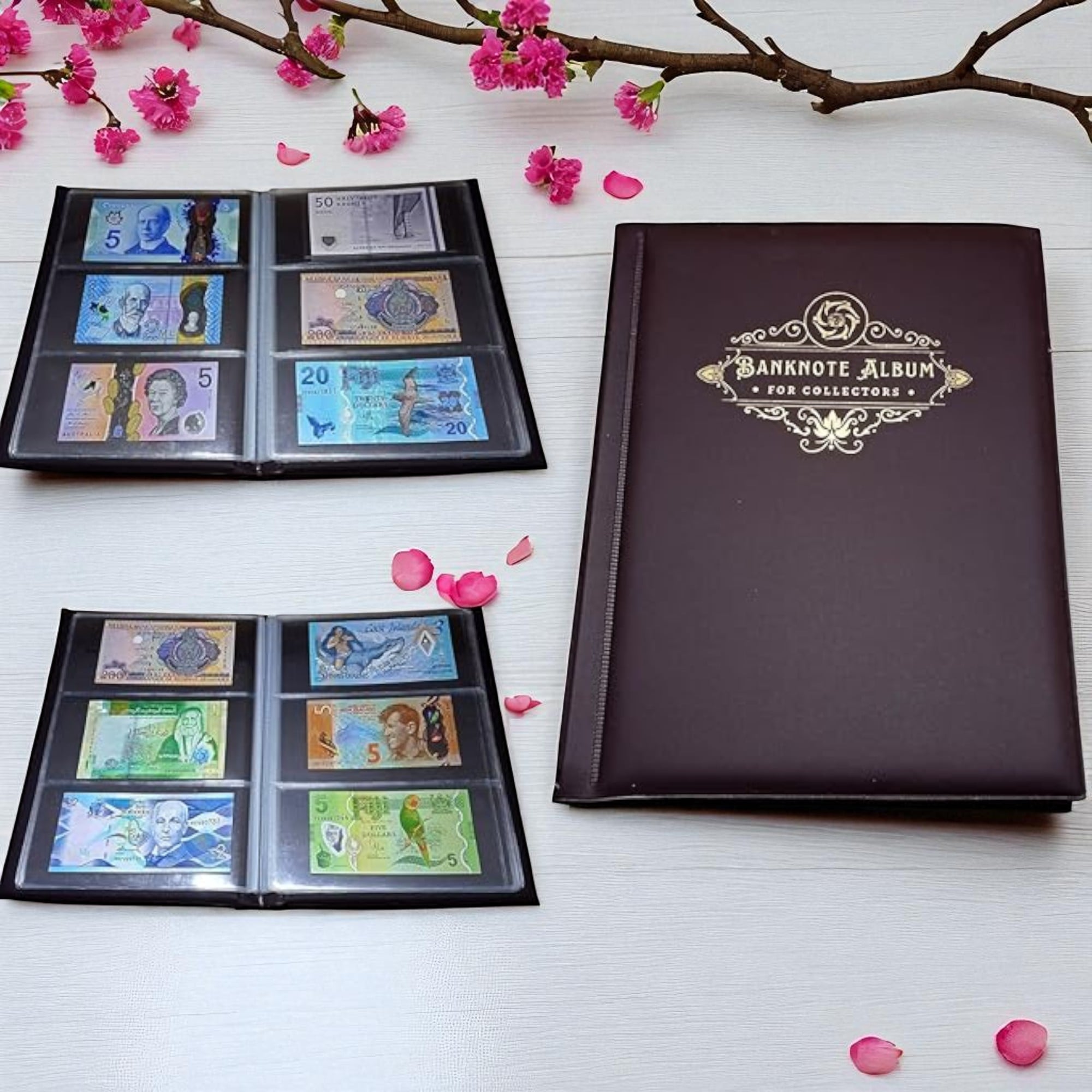 Special Minds Store® Banknote Album Book with 60 Pockets Banknote World Currency Collecting Storage Premium Album (Brown)