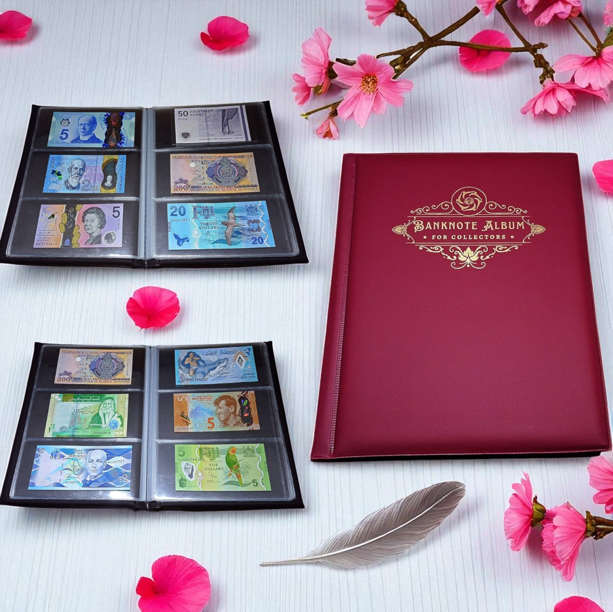 Special Minds Store® Banknote Album Book with 60 Pockets Banknote World Currency Collecting Storage Premium Album (Red)